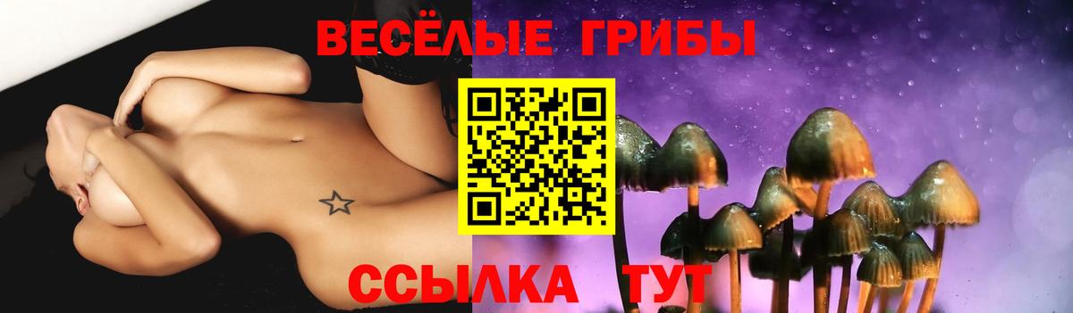Галлюциногенные грибы GOLDEN TEACHER Белебей